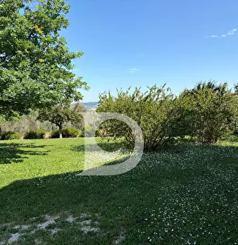 Foto annuncio 52