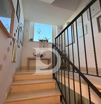 Foto annuncio 24