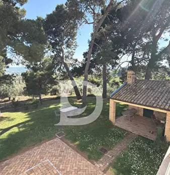 Foto annuncio 43