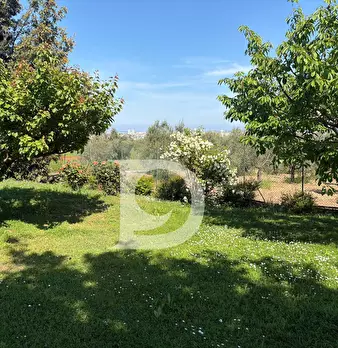 Foto annuncio 53