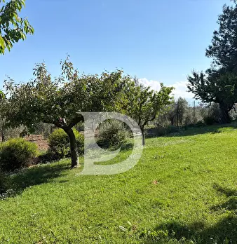 Foto annuncio 51