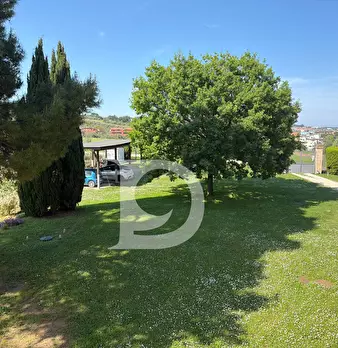 Foto annuncio 50
