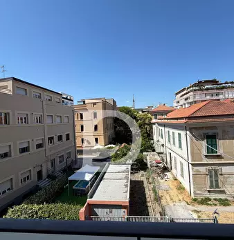 Foto annuncio 31