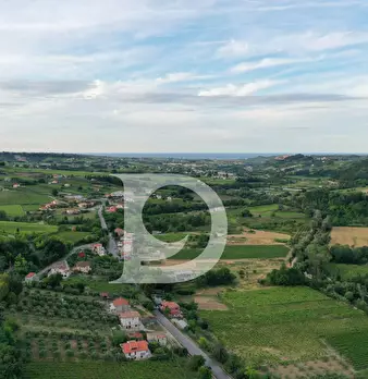 Foto annuncio 20