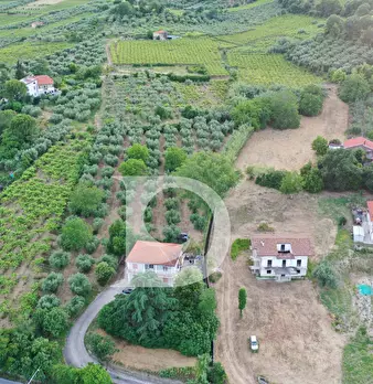 Foto annuncio 21