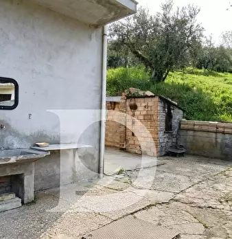 Foto annuncio 18
