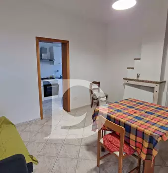 Foto annuncio 7