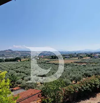 Foto annuncio 33