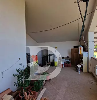 Foto annuncio 26