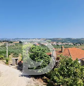 Foto annuncio 34