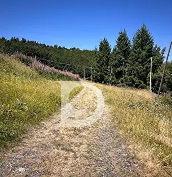 Foto annuncio 23