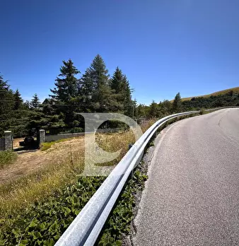 Foto annuncio 29