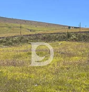 Foto annuncio 31