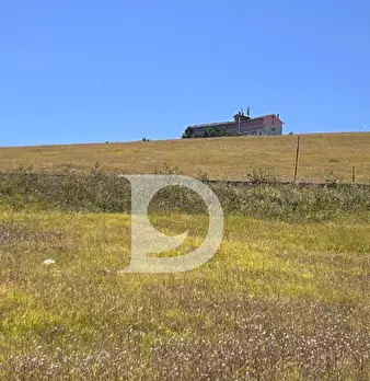 Foto annuncio 32