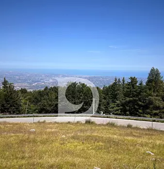 Foto annuncio 36
