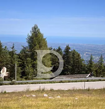 Foto annuncio 37