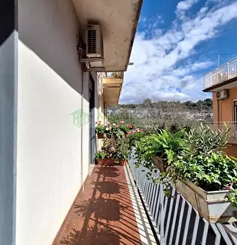 Foto annuncio 19