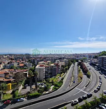 Foto annuncio 14