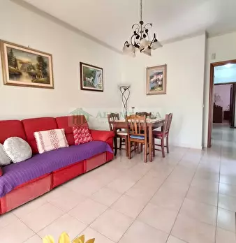 Foto annuncio 26