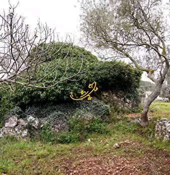 Foto annuncio 11
