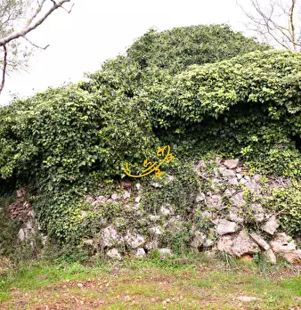 Foto annuncio 1