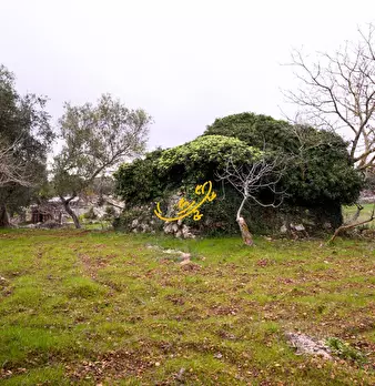 Foto annuncio 12