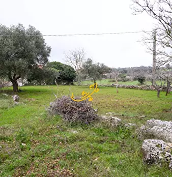 Foto annuncio 14