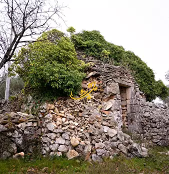 Foto annuncio 2