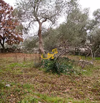 Foto annuncio 11