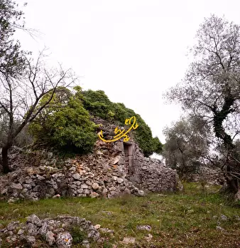Foto annuncio 13
