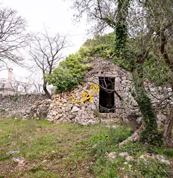 Foto annuncio 14