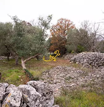 Foto annuncio 15