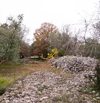 Foto annuncio 16