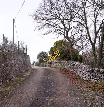 Foto annuncio 17