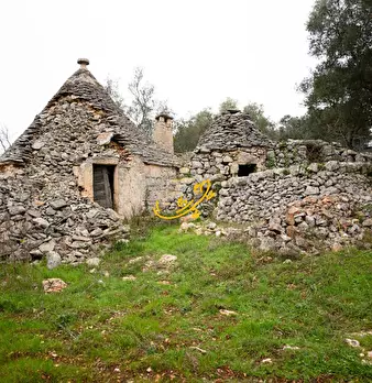 Foto annuncio 1
