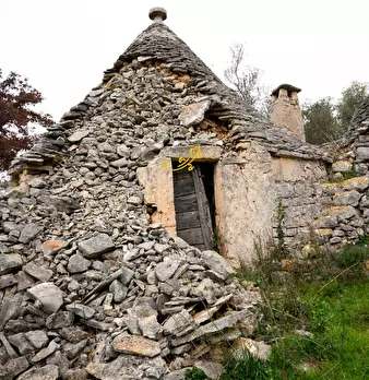 Foto annuncio 7
