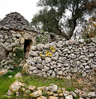Foto annuncio 9