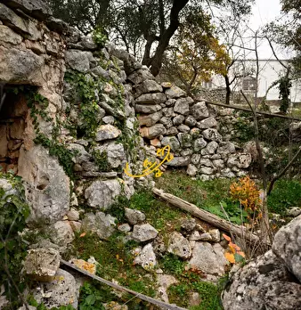 Foto annuncio 11