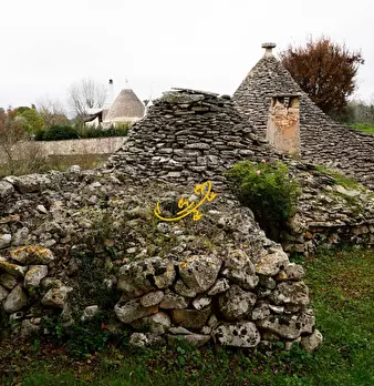 Foto annuncio 19