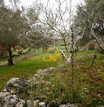 Foto annuncio 20