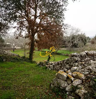 Foto annuncio 21