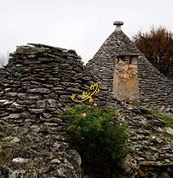 Foto annuncio 6