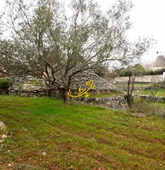Foto annuncio 23