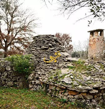 Foto annuncio 24