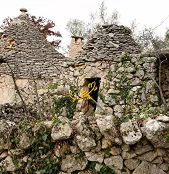 Foto annuncio 3