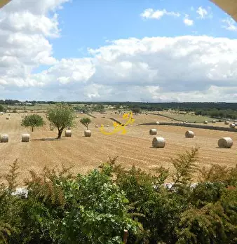 Foto annuncio 8