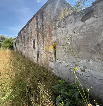 Foto annuncio 11
