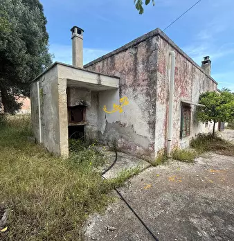 Foto annuncio 10