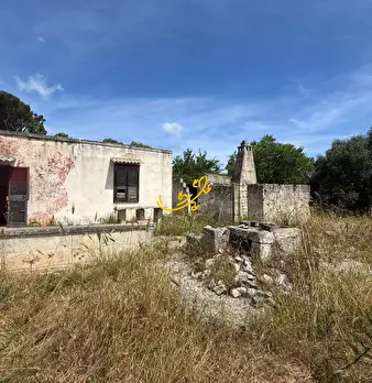 Foto annuncio 9