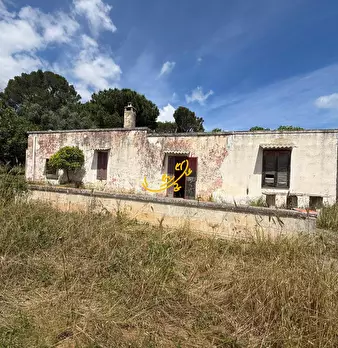 Foto annuncio 8